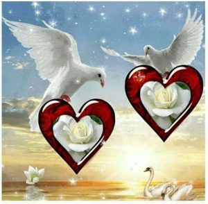 Imagenes Bonitas De Amor Con Frases Lindas