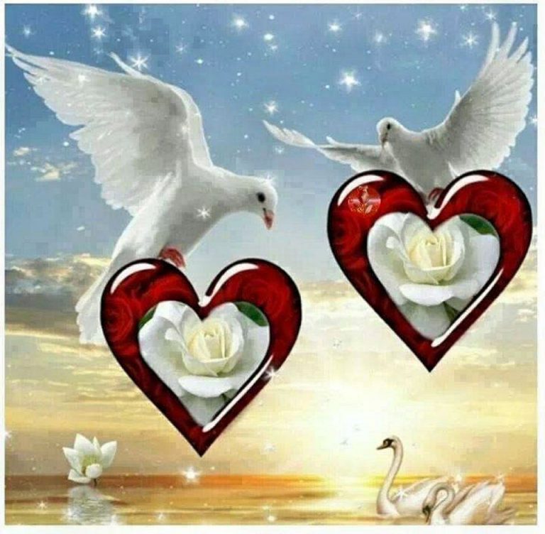 Imagenes Bonitas De Amor Con Frases Lindas