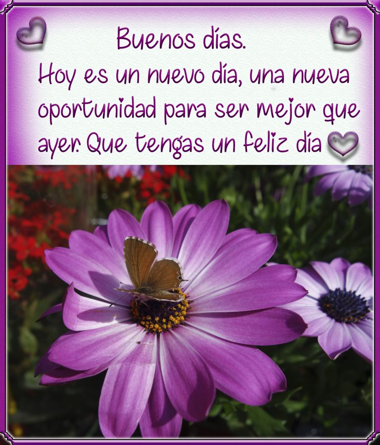 Imagenes Bonitas De Amor Para Dar Los Buenos Dias Para Una Amiga