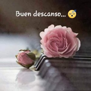 Imagenes Bonitas De Amor Para Desear Buenas Noches Para Facebook