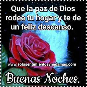 Imagenes Bonitas De Buenas Noches Con Frases Para Celular