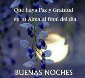 Imagenes Bonitas De Buenas Noches Con Frases Para Whatsapp