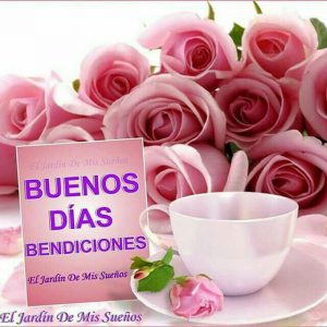 Imagenes Bonitas De Buenos Dias Mi Amor