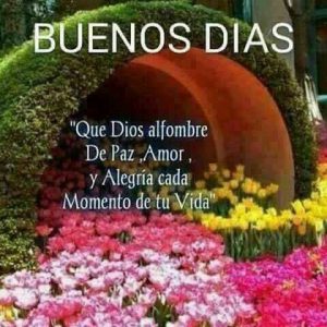 Imagenes Bonitas De Buenos Dias Para Mi Amor