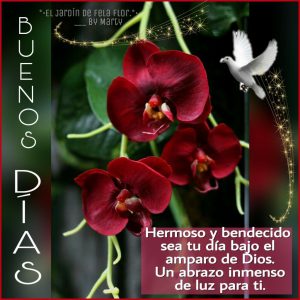 Imágenes bonitas de buenos días para mi amor para descargar