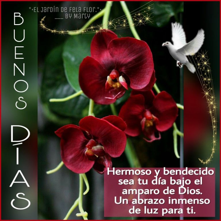 Imagenes Bonitas De Buenos Dias Para Mi Amor Para Descargar