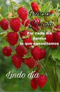 Imagenes Bonitas De Buenos Dias Para Mi Amor Para Whatsapp