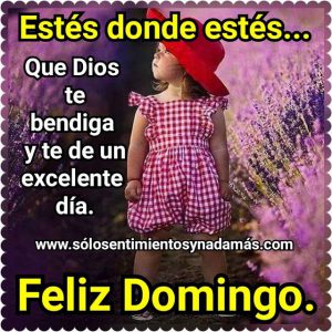 Imagenes Bonitas De Feliz Domingo Para Celular