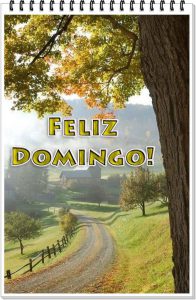 Imagenes Bonitas De Feliz Domingo Para Whatsapp