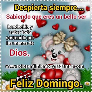 Imagenes Bonitas Del Dia Domingo Para Celular