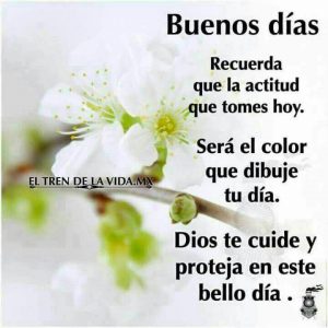 Imagenes Bonitas Para Dar Buenos Dias