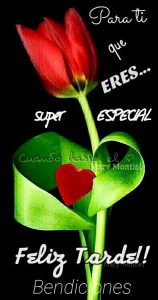 Imagenes Bonitas Para Dar Las Buenas Tardes Para Facebook Y Whatsapp