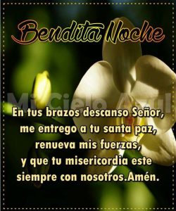 Imágenes bonitas para decir buenas noches para WhatsApp