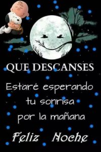 Imagenes Buenas Noches Con Frases