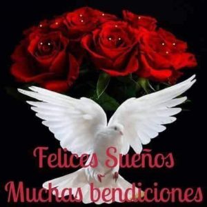 Imágenes buenas noches gratis para Facebook