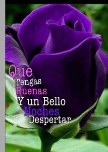 Imagenes Buenas Noches Para Whatsapp