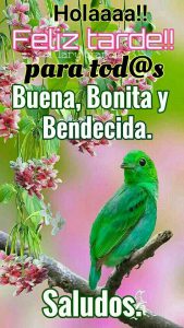 Imagenes Buenas Tardes Para Facebook Para Whatsapp Celular