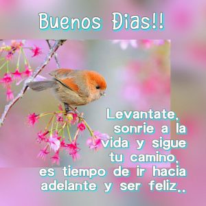 Imágenes buenos días al amor de mi vida