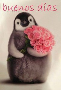 Imagenes Buenos Dias Amor Para Descargar