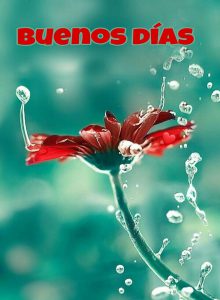 Imagenes Buenos Dias Cariño Para Descargar