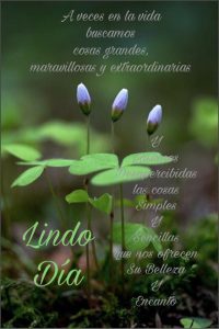 Imagenes Buenos Dias Con Mujeres Para Facebook