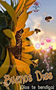 Imágenes buenos días mi corazón para celular