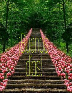 Imagenes Buenos Dias Mi Vida Para Descargar