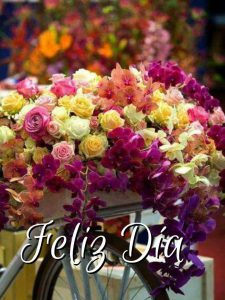 Imagenes Buenos Dias Mi Vida Para Una Amiga