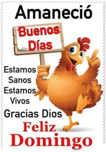 Imagenes Buenos Dias Para Descargar