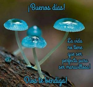 Imagenes Buenos Dias Para Mi Amor