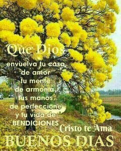 Imagenes Buenos Dias Para Whatsapp