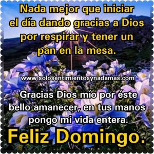 Imagenes Chistosas De Feliz Domingo Para Celular