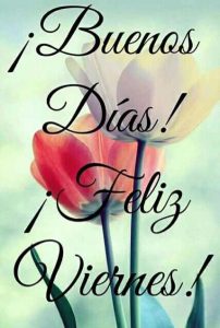 Imagenes Con Frases Bonitas De Buenos Dias Para Mi Amor Para Celular