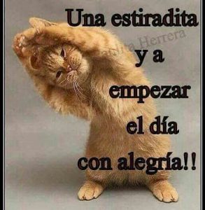 Imagenes Con Frases Bonitas Para Dar Los Buenos Dias Para Descargar