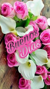 Imagenes Con Frases Buenos Dias Amor Para Facebook