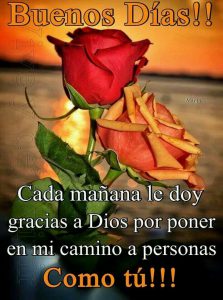 Imagenes Con Frases Buenos Dias Amor Para Whatsapp
