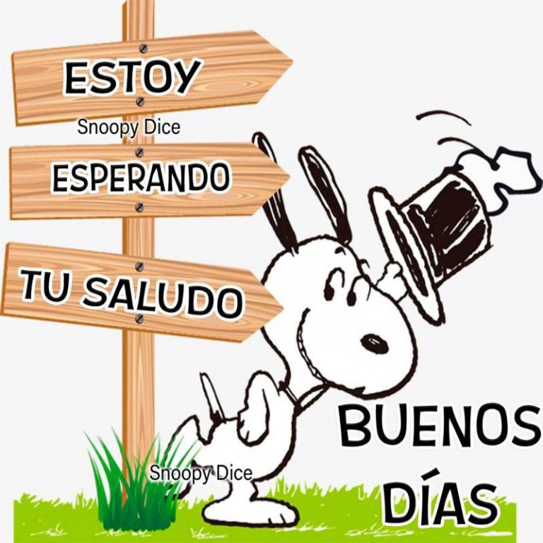 Imagenes Con Frases De Amor Buenos Dias Para Mi Amor
