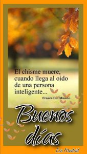 Imágenes con frases de amor buenos días para una amiga