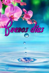 Imagenes Con Frases De Amor De Buenos Dias Para Descargar