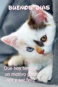 Imagenes Con Frases De Amor Y Buenos Dias Para Una Amiga