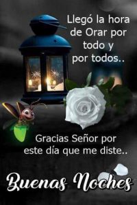 Imagenes Con Frases De Buenas Noches Para Mi Amor Para Whatsapp