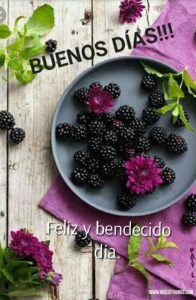 Imagenes Con Frases De Buenos Dias Mi Amor Para Celular