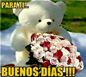 Imágenes con frases de buenos días mi amor para WhatsApp