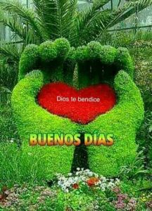 Imagenes Con Frases De Buenos Dias Para Mi Amor