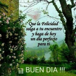 Imagenes Con Frases De Buenos Dias Para Mi Amor Para Descargar