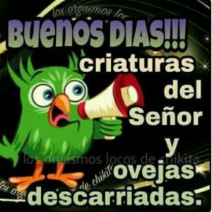 Imagenes Con Frases De Los Buenos Dias