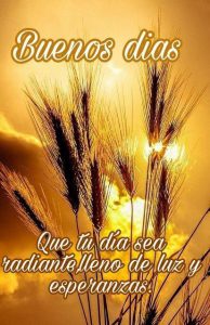 Imagenes Con Frases Hermosas De Buenos Dias Para Una Amiga