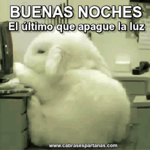 Imágenes con frases lindas de buenas noches