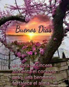 Imagenes Con Frases Para Dar Los Buenos Dias Para Descargar