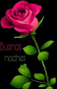 Imágenes con frases para las buenas noches para WhatsApp
